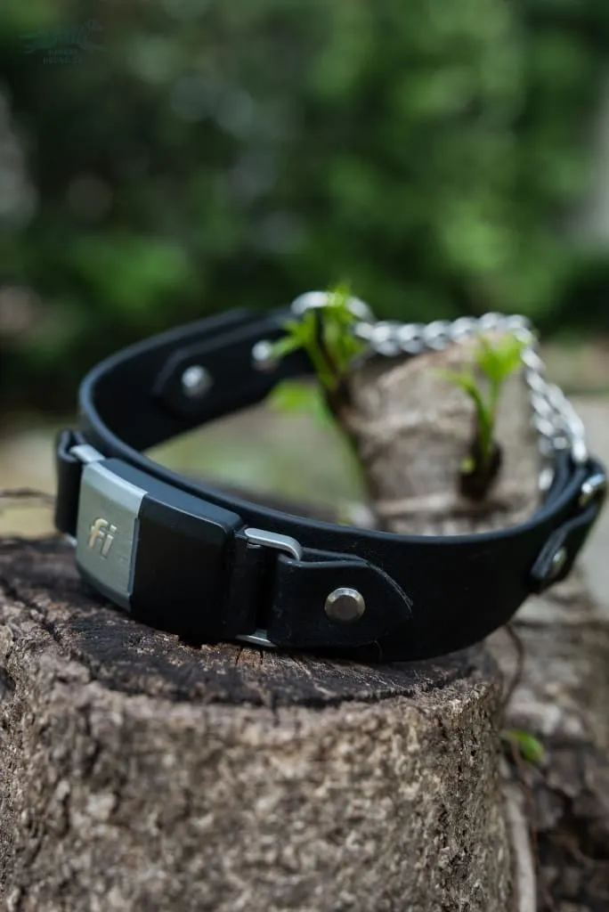 Fi Compatible 1.5" Rua Martingale Collar