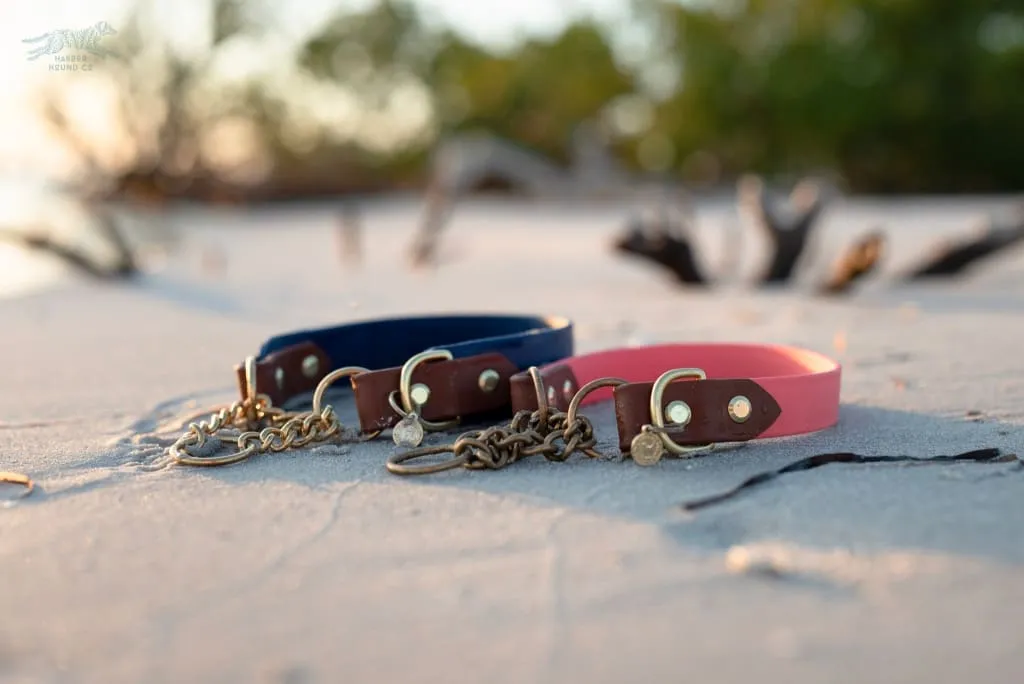 Fi Compatible 1.5" Rua Martingale Collar