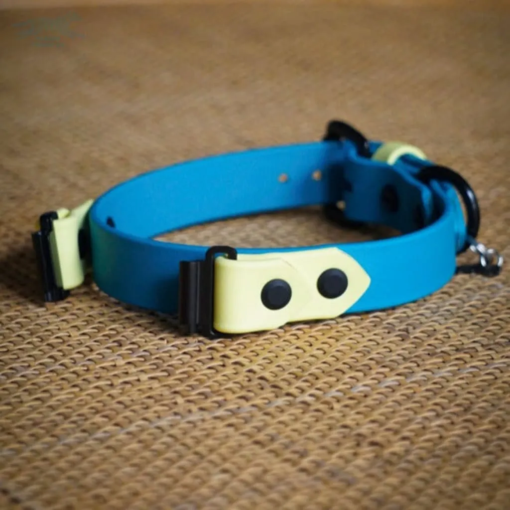 Fi Compatible 1" Waterproof Buckle Collar