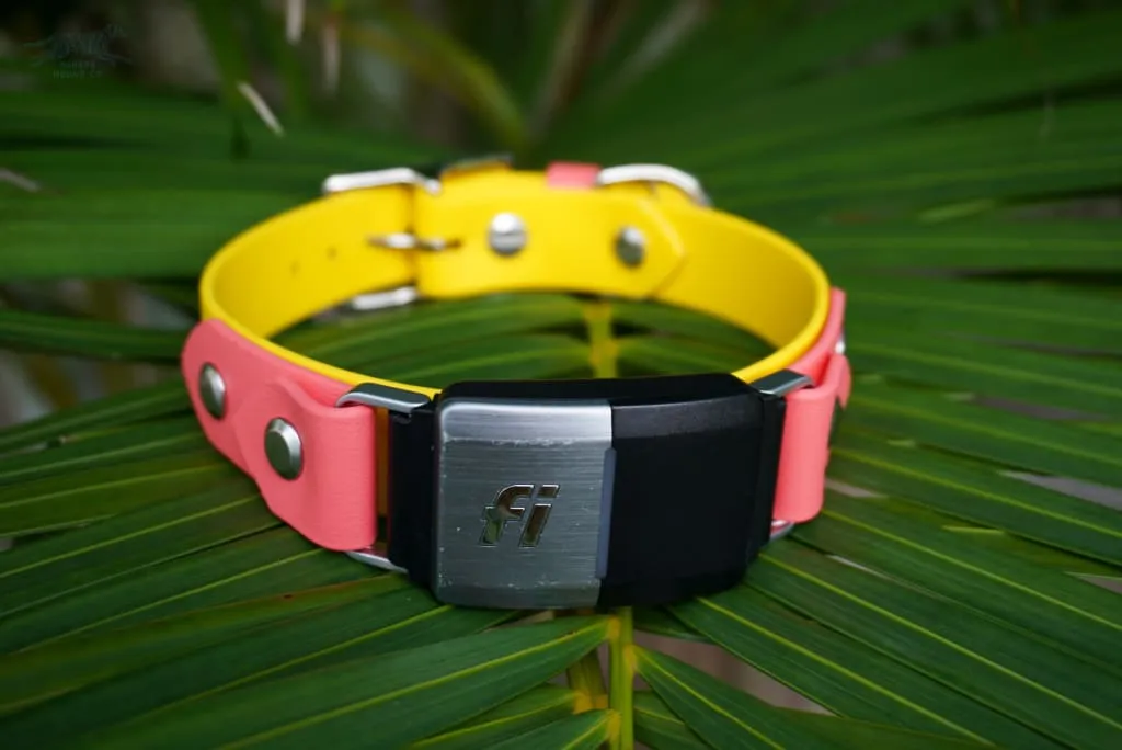 Fi Compatible 1" Waterproof Buckle Collar