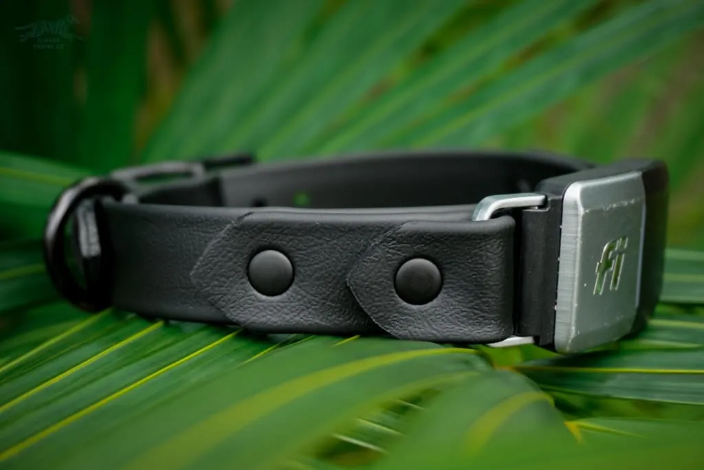 Fi Compatible 1" Waterproof Buckle Collar