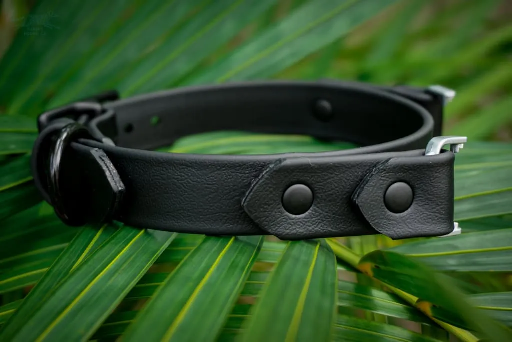 Fi Compatible 1" Waterproof Buckle Collar