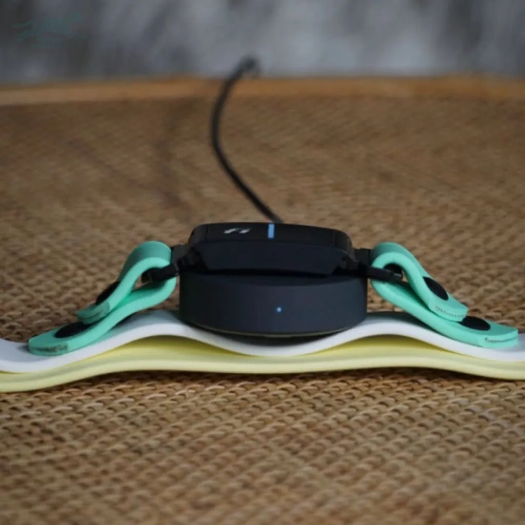 Fi Compatible 1" Waterproof Buckle Collar