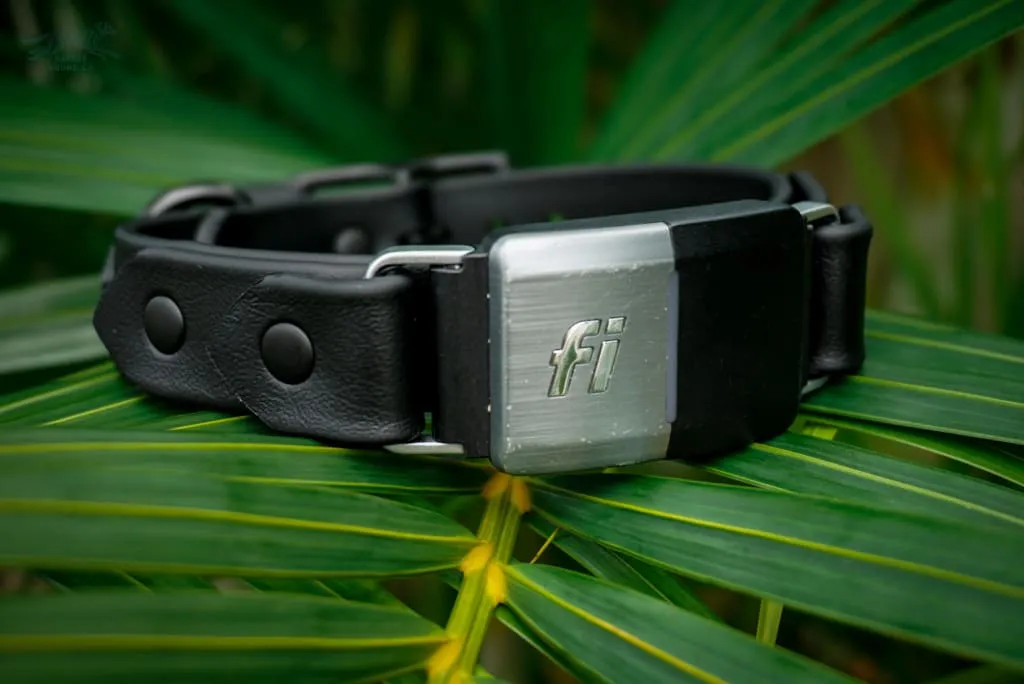 Fi Compatible 1" Waterproof Buckle Collar