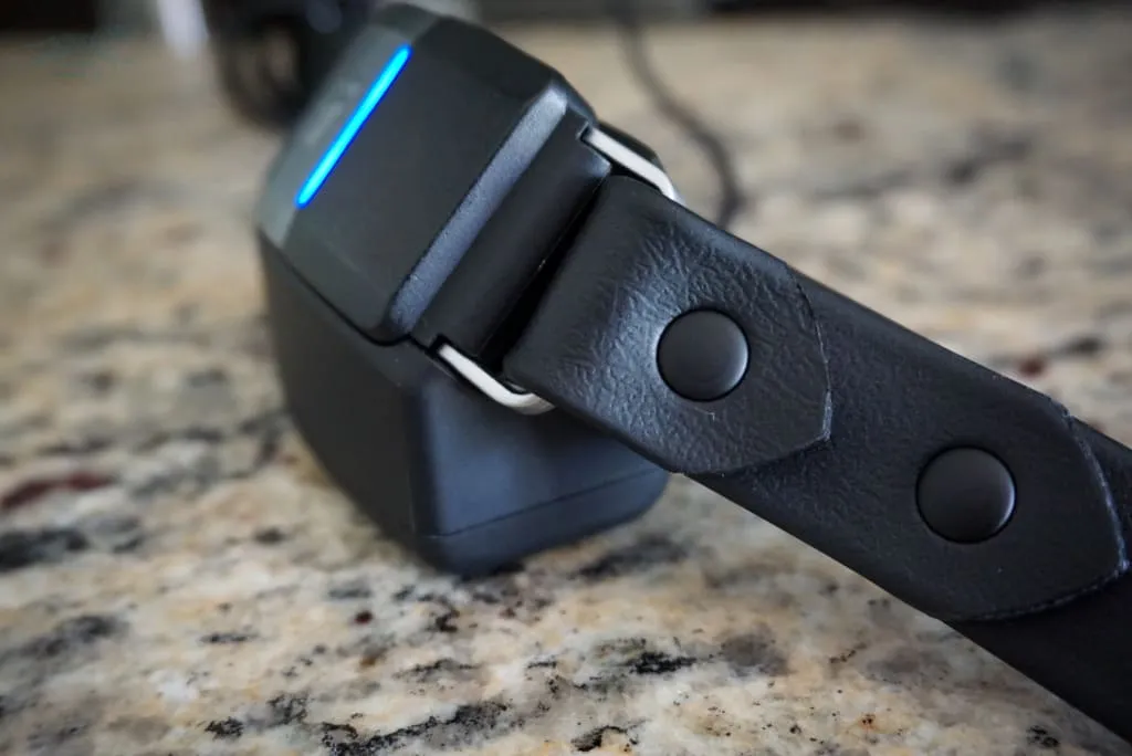 Fi Compatible 1" Waterproof Buckle Collar