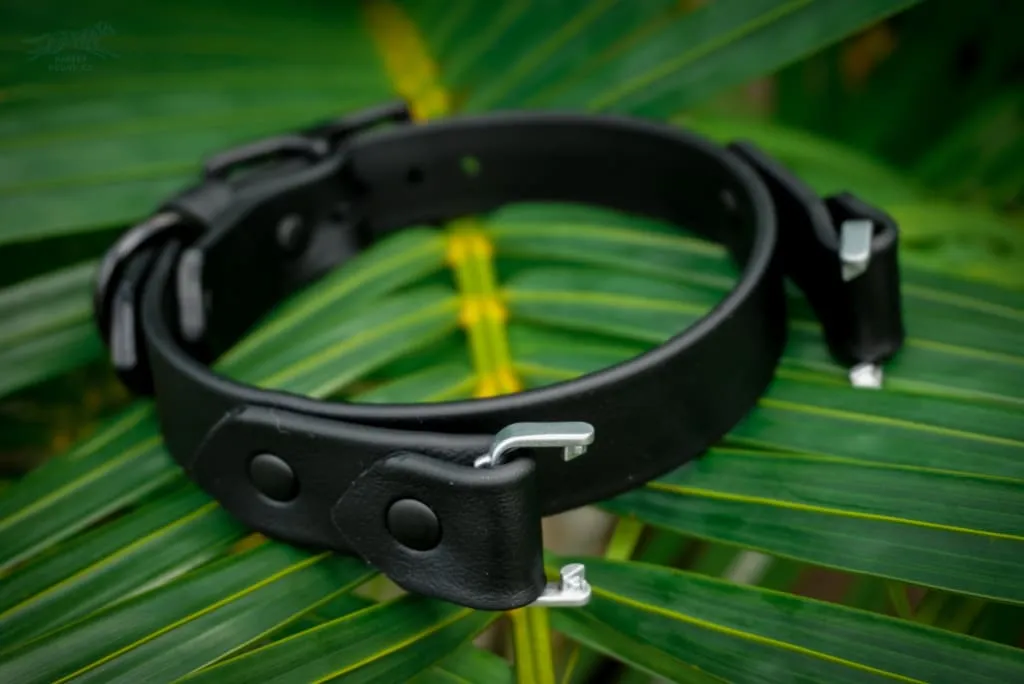 Fi Compatible 1" Waterproof Buckle Collar