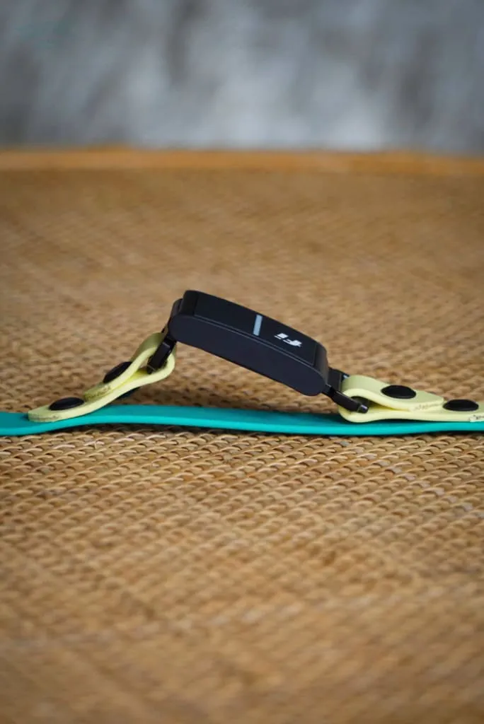 Fi Compatible 3/4" Waterproof Buckle Collar