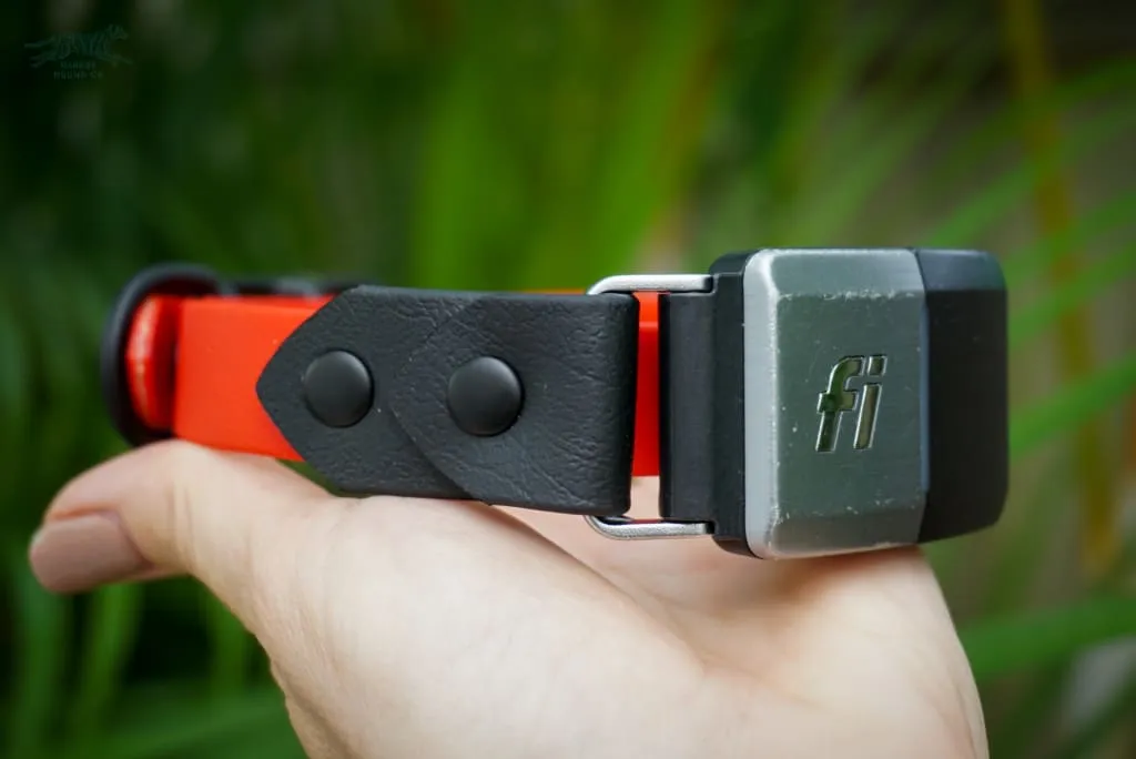 Fi Compatible 3/4" Waterproof Buckle Collar