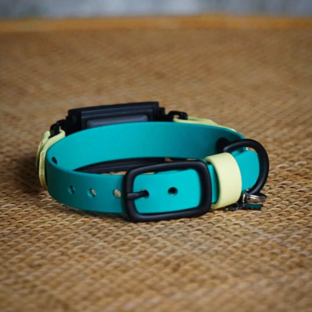 Fi Compatible 3/4" Waterproof Buckle Collar