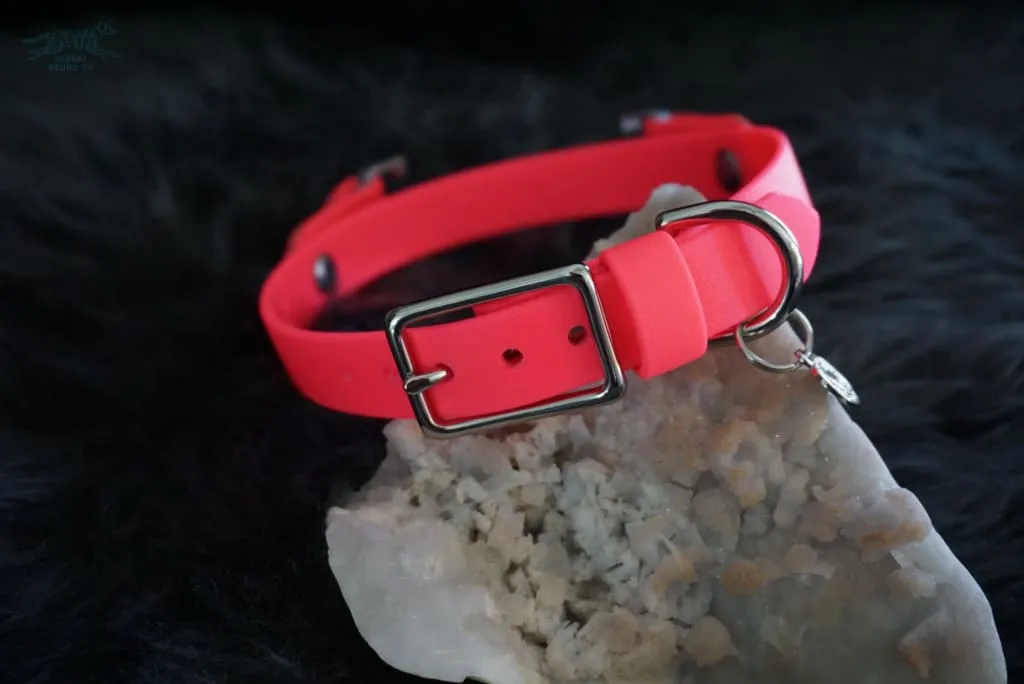 Fi Compatible 3/4" Waterproof Buckle Collar