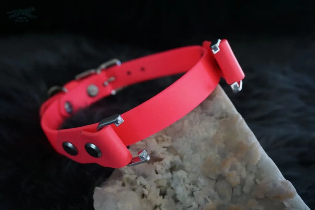 Fi Compatible 3/4" Waterproof Buckle Collar