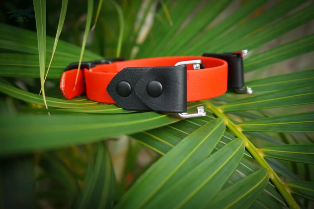 Fi Compatible 3/4" Waterproof Buckle Collar