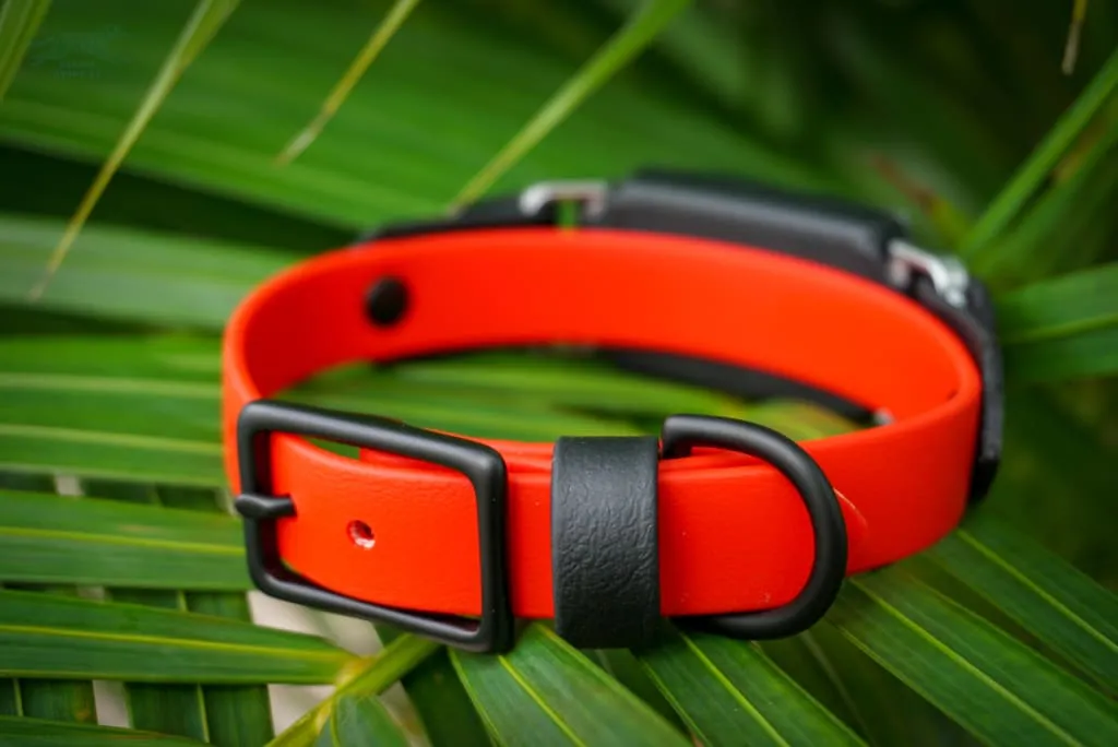 Fi Compatible 3/4" Waterproof Buckle Collar