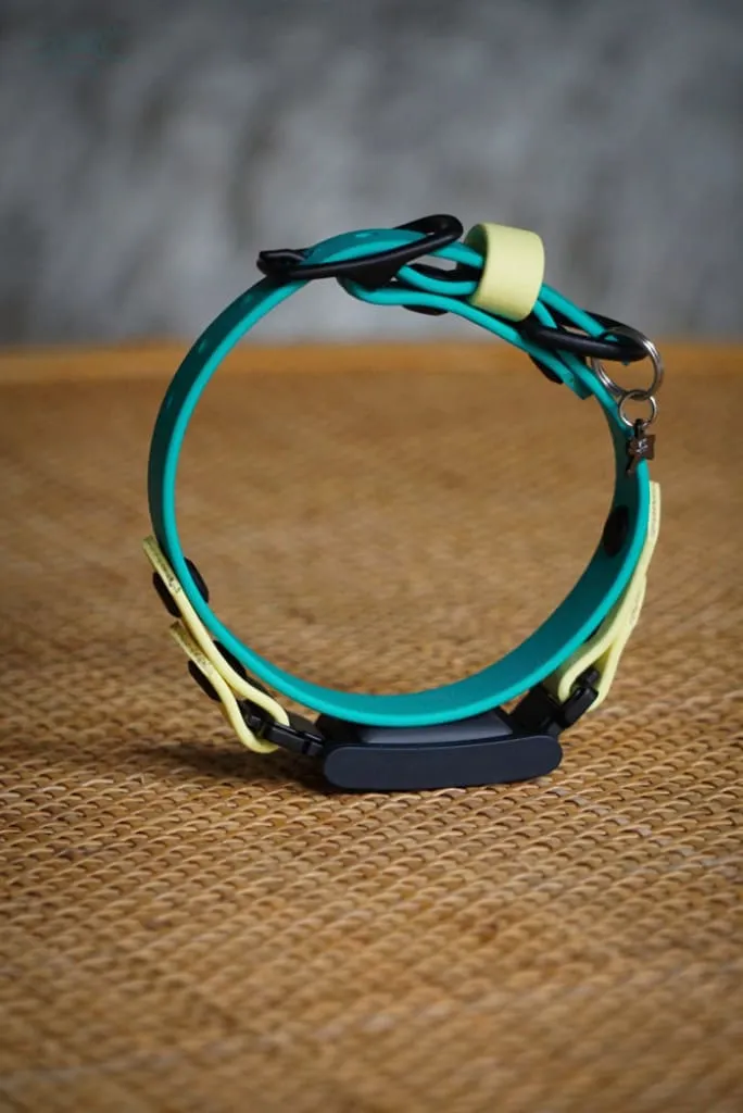 Fi Compatible 3/4" Waterproof Buckle Collar