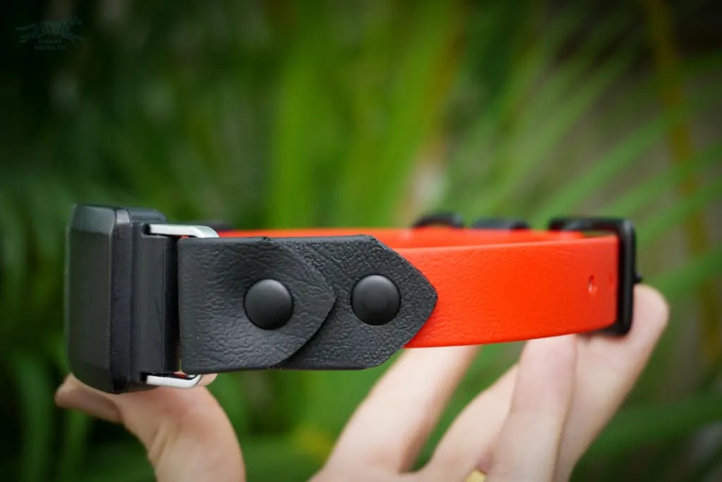 Fi Compatible 3/4" Waterproof Buckle Collar