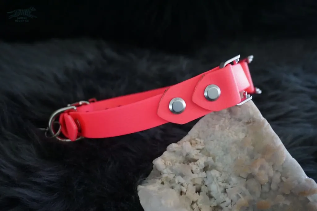 Fi Compatible 3/4" Waterproof Buckle Collar
