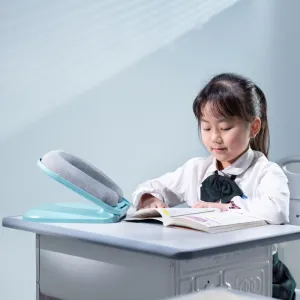 Foldable NappingPillow