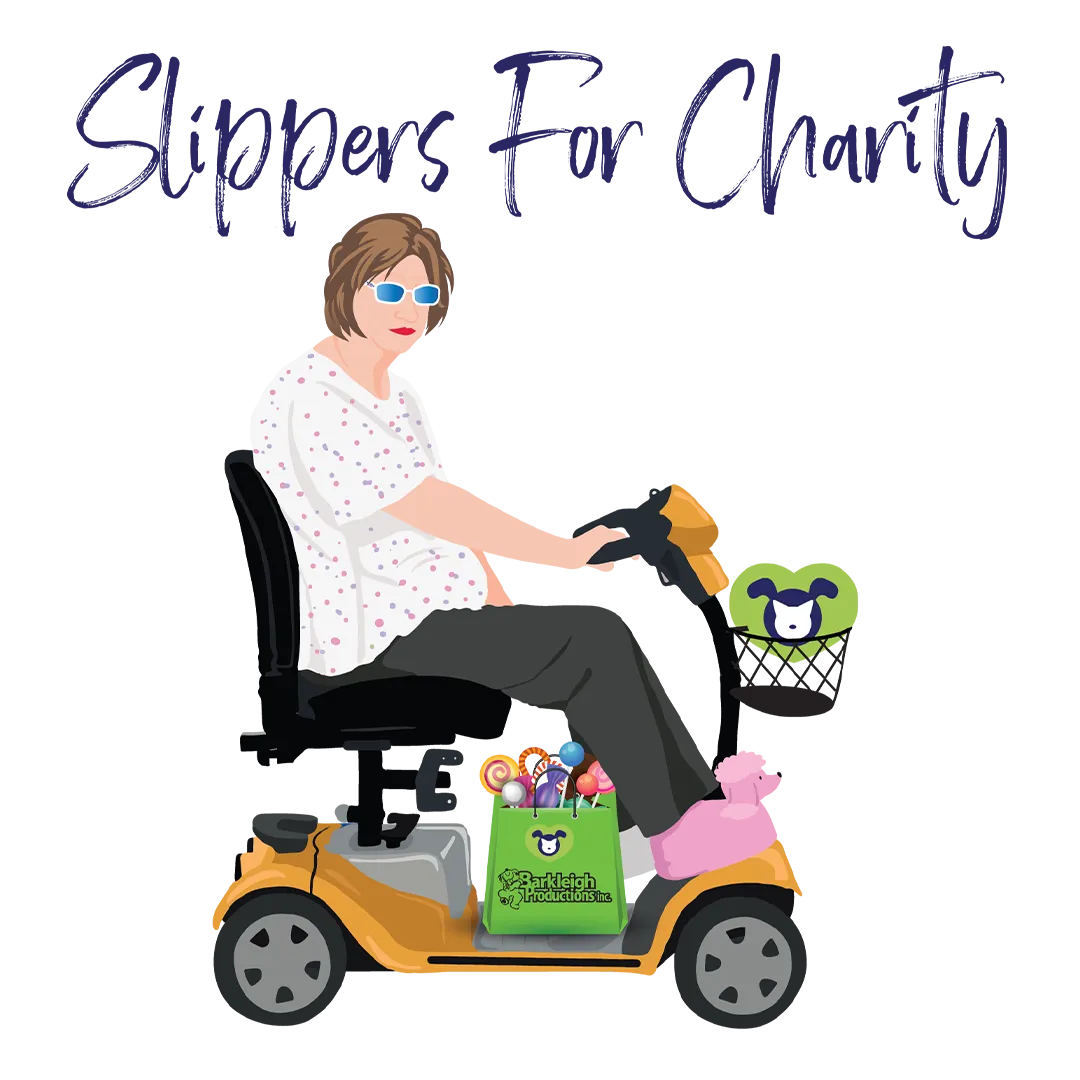 Gwen's Bundle of Three Slippers For Charity