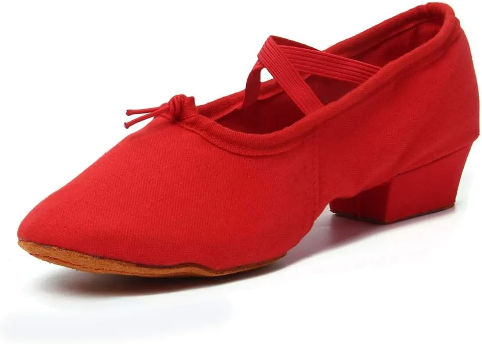 TINRYMX Women Canvas Latin Dance Shoes Ballroom Character Teacher Shoes