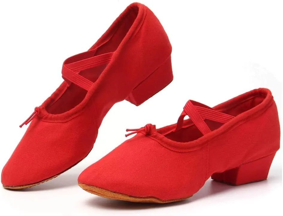 TINRYMX Women Canvas Latin Dance Shoes Ballroom Character Teacher Shoes